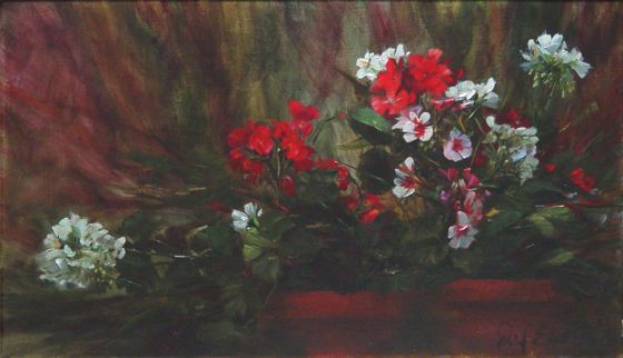 Geraniums
