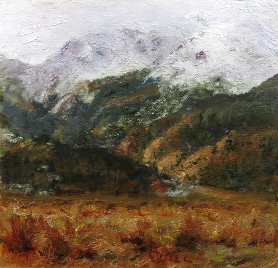 Moraine Park RMNP